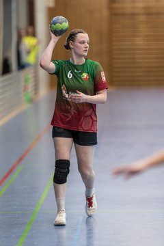 Bild 229 - F HSG Kremperheide/Muensterdorf - HSG Holstein Kiel/Kronshagen : Ergebnis: 31:26